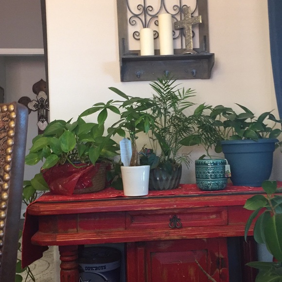 Meet your Posher, Aleeha - Picture 1 of 1